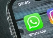 Kirim Pesan wa tanpa save nomor