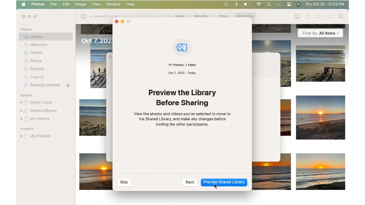 Preview the library before sharing
